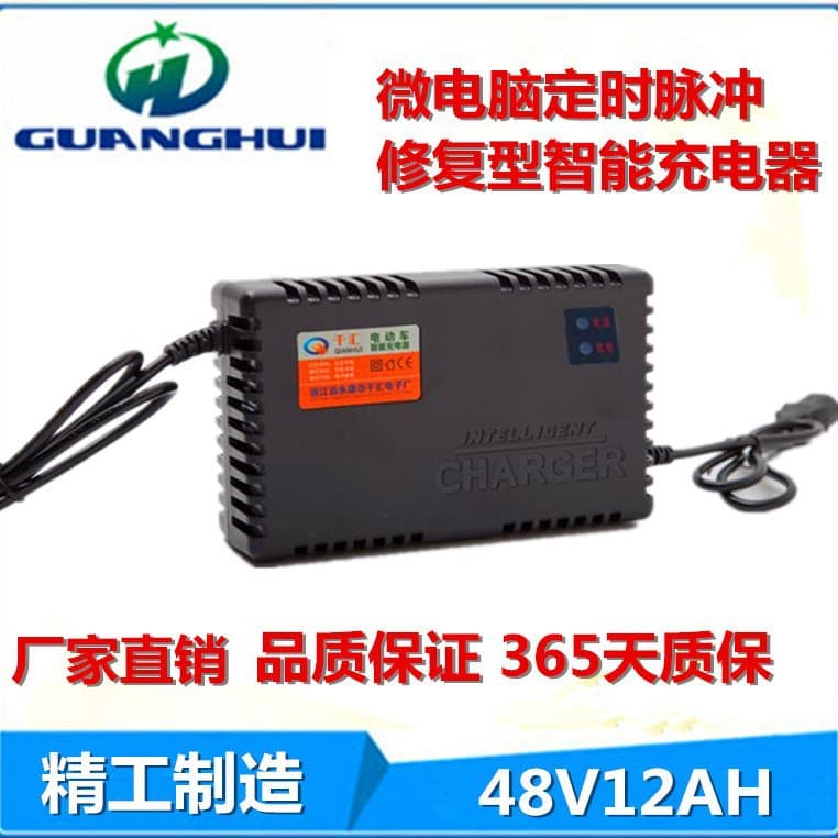 Manufacturer supply three-stage 48V 12AH charger, US standard 110V electric vehicle charger