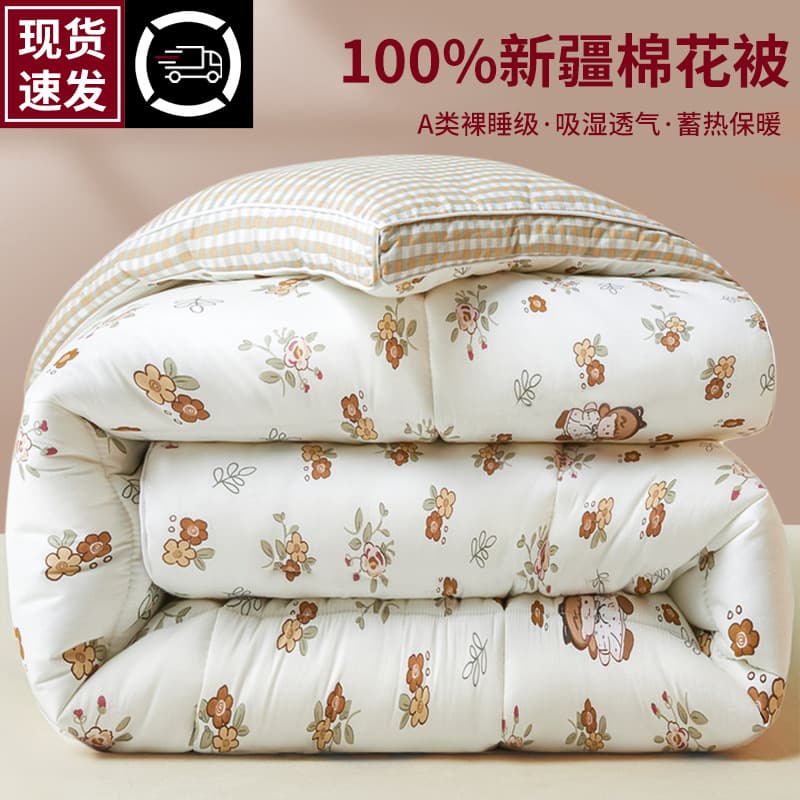 Pure Cotton Quilt Core Spring & Fall Quilt Thickeneded Warm Pure Cotton Winter Quilt Student Dormitory Single Cotton Quilt Universal for All Seasons