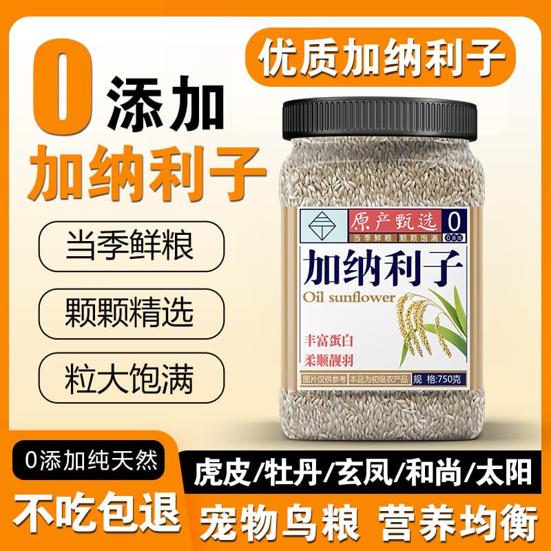 Canary Seed Parrot Bird Food White Millet Canary Finch Parrot Yellow Bird Seed Budgerigar Lovebird Cockatiel