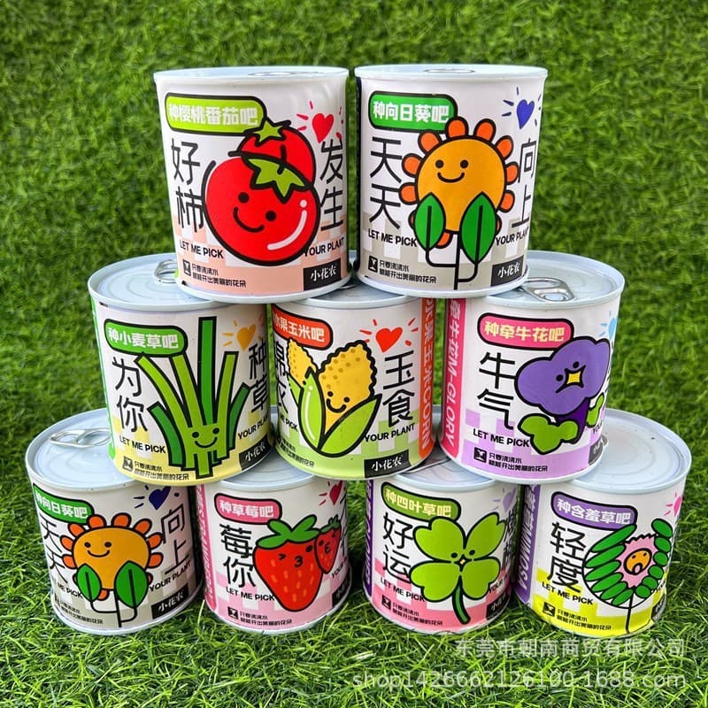 High-Quality Gift Blind Box Potted Plants, Kindergarten Gifts, Indoor Planting Flower Seeds, Student Desktop Green Potted Plants