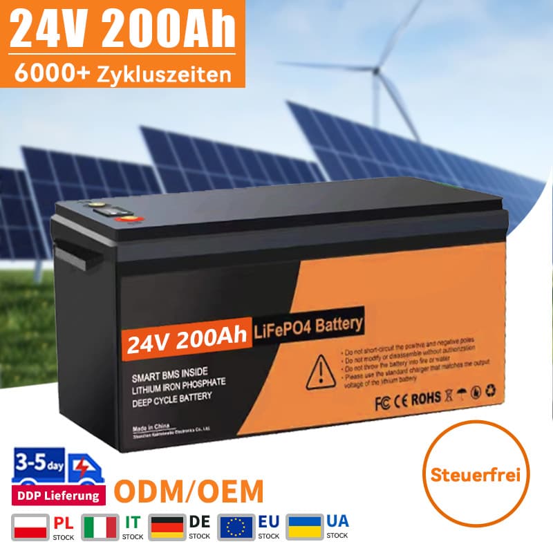 24V 200Ah LiFePO4 Batteriepack mit BMS 12V 100Ah 300Ah 48V