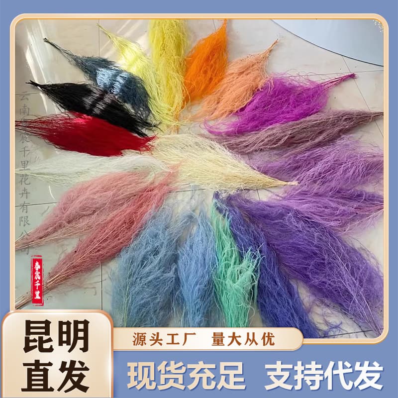 Asparagus, Asparagus, Feather Grass, Wedding Decoration Manufacturer Wholesale, Customizable Number of Asparagus, Dried Asparagus, Hairy Grass