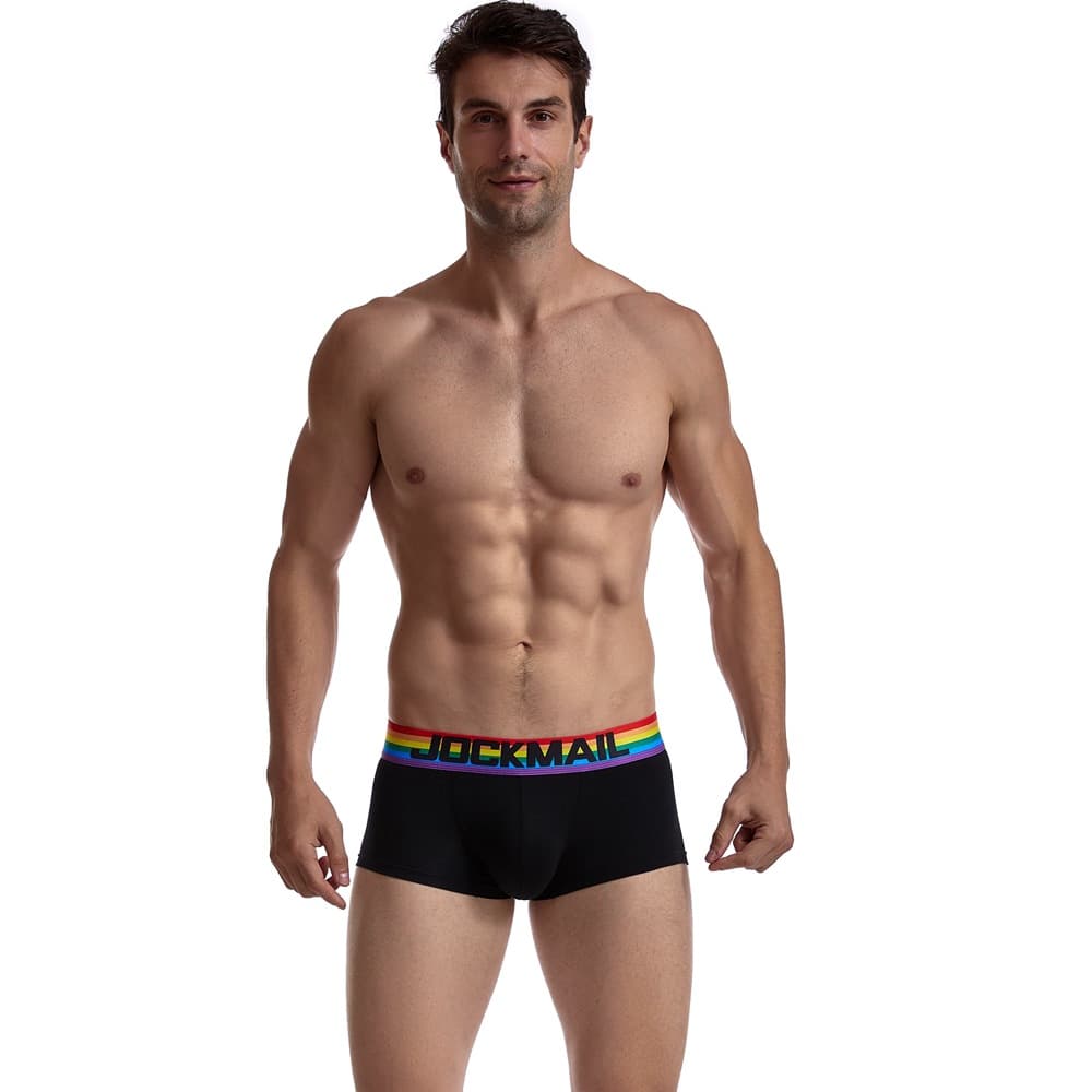 Sexy Low Waist Transparent Rainbow Cotton Men's Underwear Breathable Fashionable European and American Style Briefs