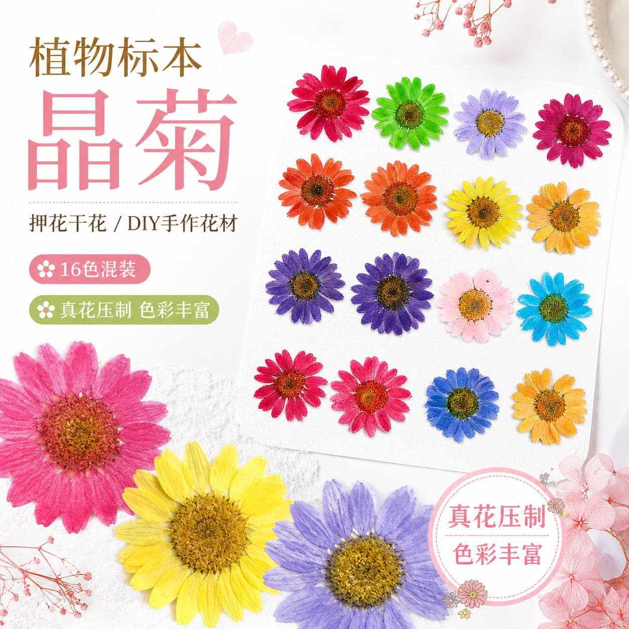 Crystal Chrysanthemum Dried Flower Pressed Flower Resin Bracelet DIY Materials Gemstone Pendant Handmade Jewelry Accessories