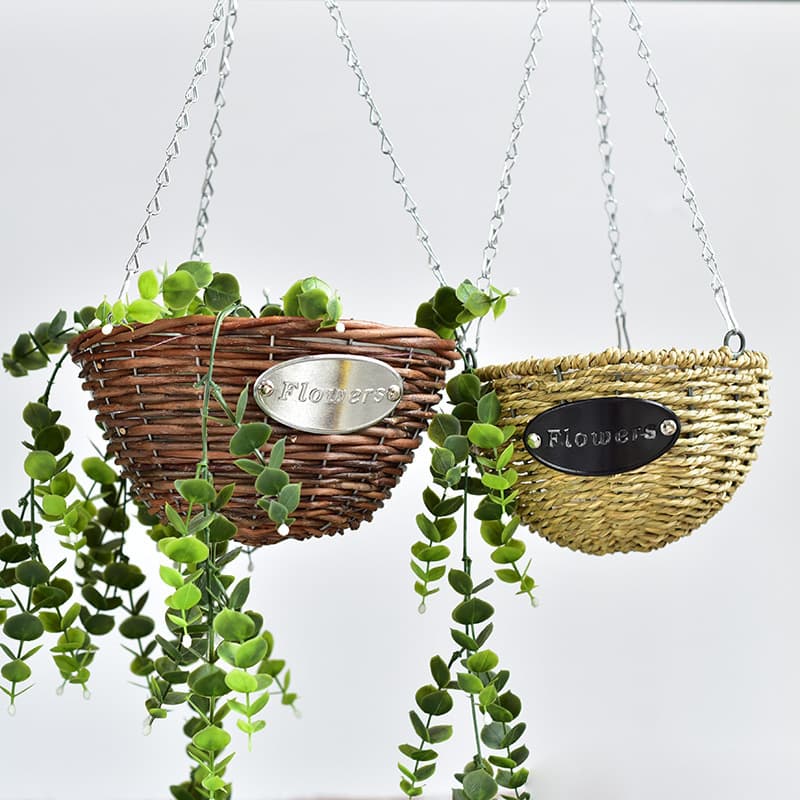 Export to Europe and America Popular Japanese European Succulent Hanging Green Plant Flower Basket Hanging Basket Wholesale Wall-mounted Hanging Wholesale Retail