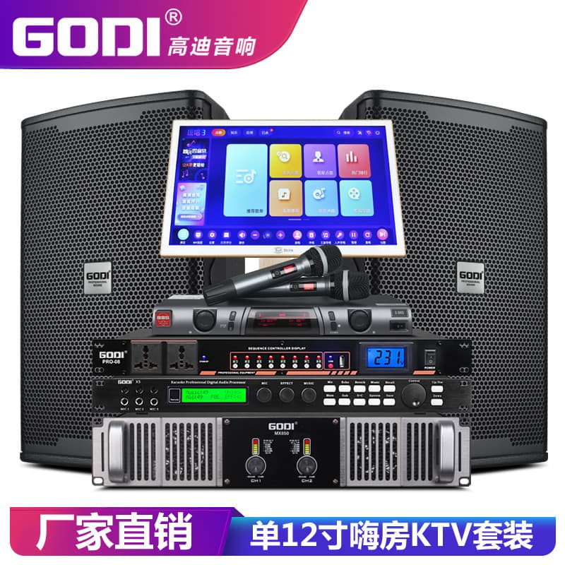 GODI Professional Bar KTV Audio Set Single 12-inch Home Conference Party Room Stage Speaker Karaoke Machine Full Set