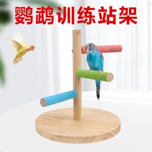 Hand-Fed Parrot Perch Stand, Floor or Desktop, Nail-Trimming for Cockatiels, Parakeets, Lovebirds, Playground Training with Prickly Ash Wood Perch