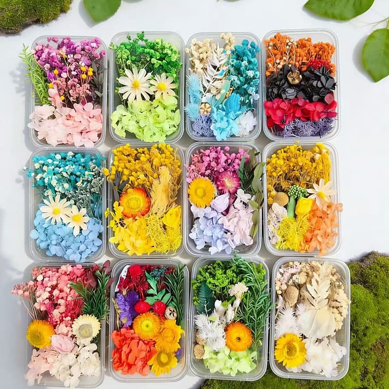 Mixed Dried Flowers DIY Handmade Candle Plaster Real Flowers Preserved Multi-Color Activity Material Kit with Frame Stickers
