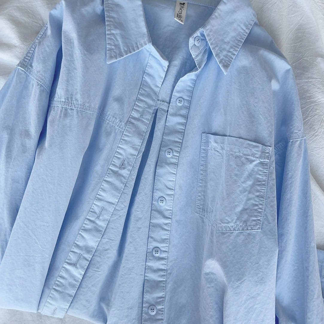 100% Cotton Korean Style Blue Blouse for Women Autumn Designer Niche Turn-down Collar Loose Long Sleeve Pony Embroidery Top