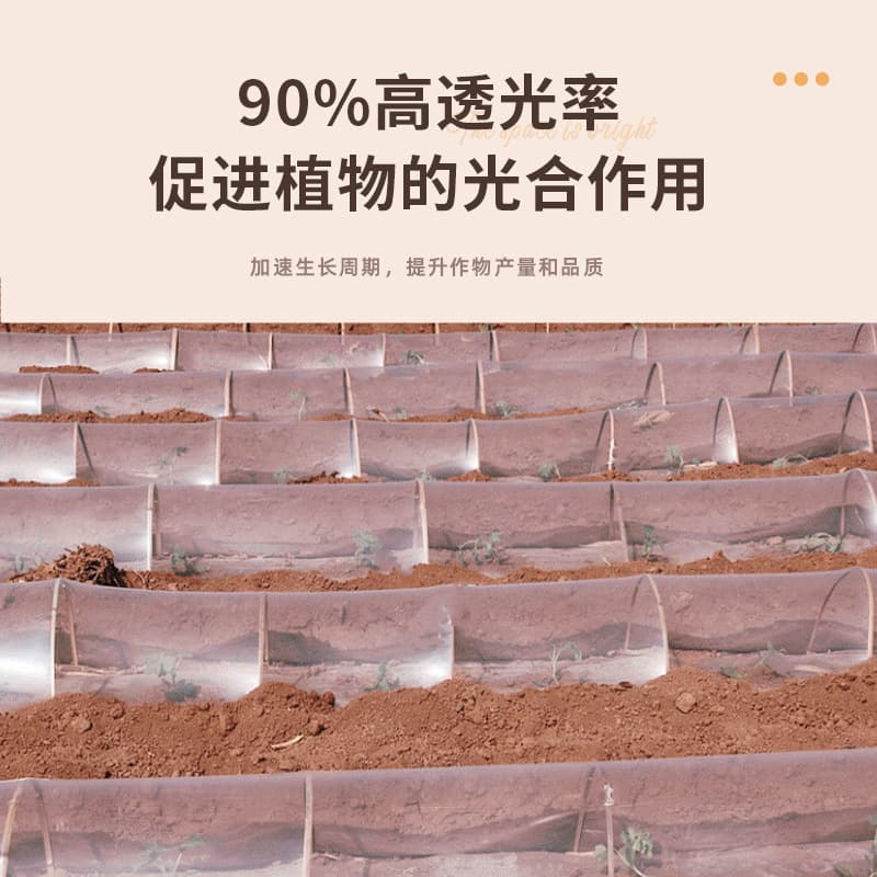 Factory Wholesale PE Vegetable Greenhouse Film Agricultural Transparent Plastic Film Multi-functional Waterproof Moisturizing Film