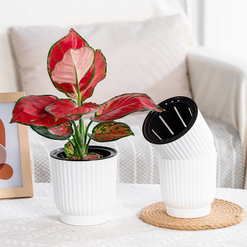 Colorful Self-Watering Lazy Flower Pot Green Plant Resin Round Vertical Stripe Desktop Small Potted Plant Pot