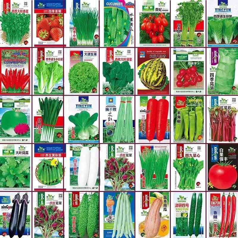 Vegetable Seeds for Four-Season Sowing, Potted, Balcony, Garden, Chili Pepper, Lettuce, Melon, Easy Spring Planting, Seed Collection