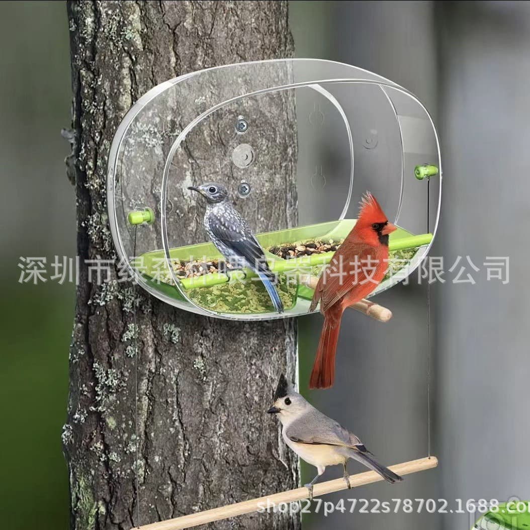 Private model creative popular oval transparent bird feeder with camera multi-functional bird feeder exclusively for cross-border supply