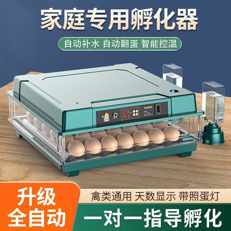 Egg Incubator Small Household Hatchery Fully Automatic Intelligent Incubation Machine for Chicken, Quail, Duck, Goose Eggs