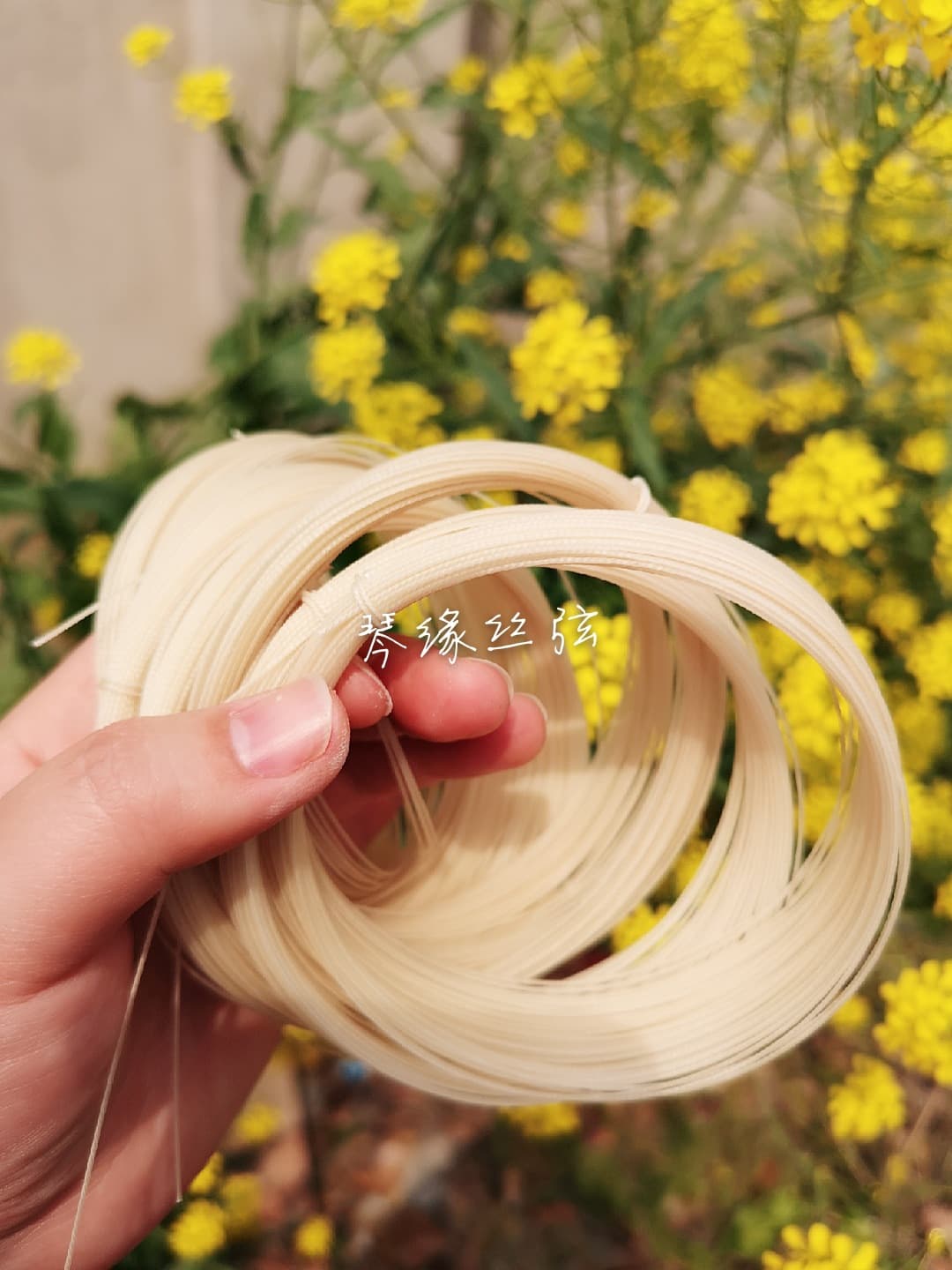 Qinyuan silk strings, silkworm silk strings, erhu, pipa, sanxian, qianjin string, bean mouth instrument strings, old strings, zhongxian, zixian, single plate