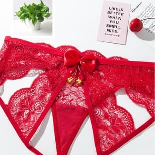 Sexy Lace Panties Passionate Hot Open Crotch Mesh Hollow Triangle Panties for Women