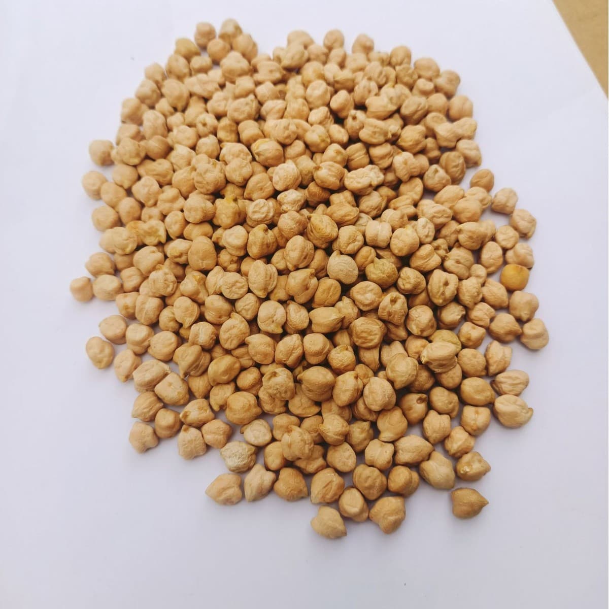 New 2025 stock of imported chickpeas.