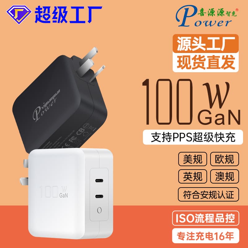 PD100W 3-Pin Plug GaN Dual USB-C Smart Charger 45W+45W Wall-Mounted GaN Multi-Protocol Fast Charger