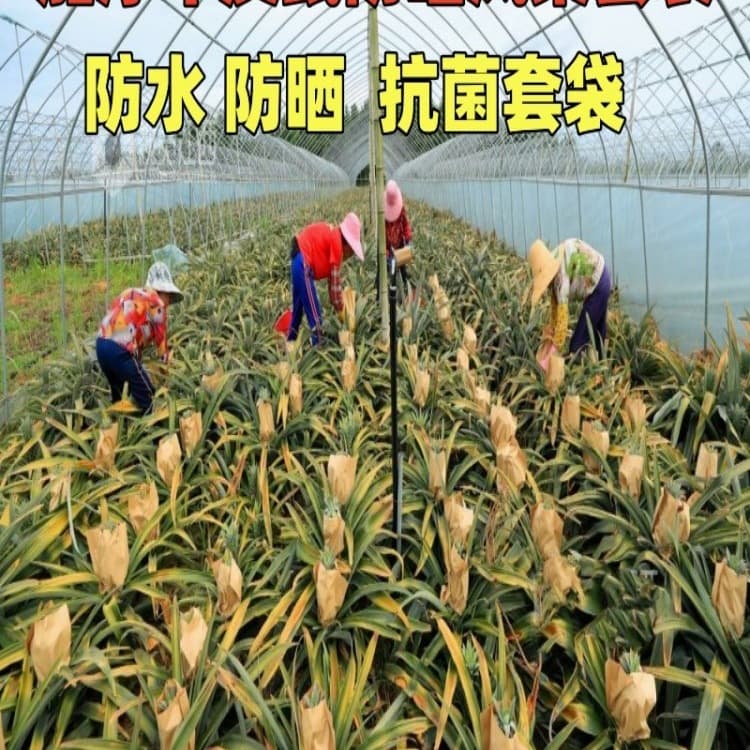 Thickened sun-proof pineapple bagging bag golden brick pineapple fruit bag fruit bag waterproof insect-proof kraft paper protective bag