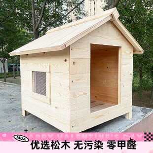 Large outdoor chicken coop for winter, DIY assembly, egg-laying house, small farm