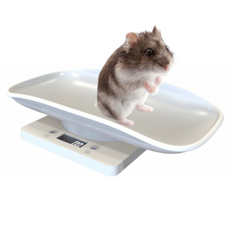 Popular 10kg Electronic Scale for Veterinary Use, Home Mini Scale for Pets, Small Kitchen Scale for Cats and Dogs