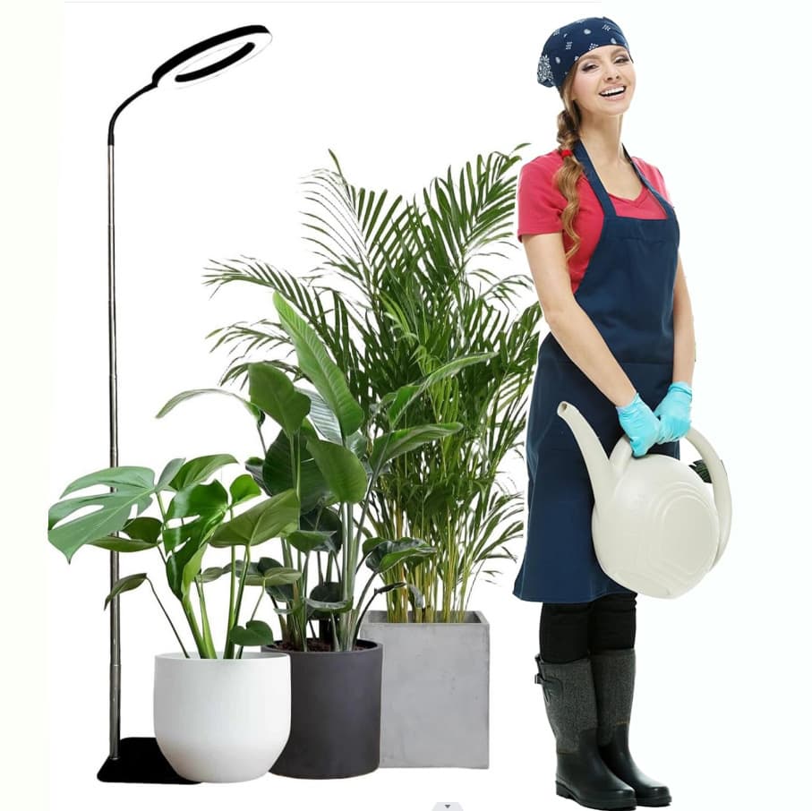 New 6-inch Indoor Angel Ring Base/Floor Dual-Use Plant Grow Light, Large Supplement Light, USB Version, Full Spectrum