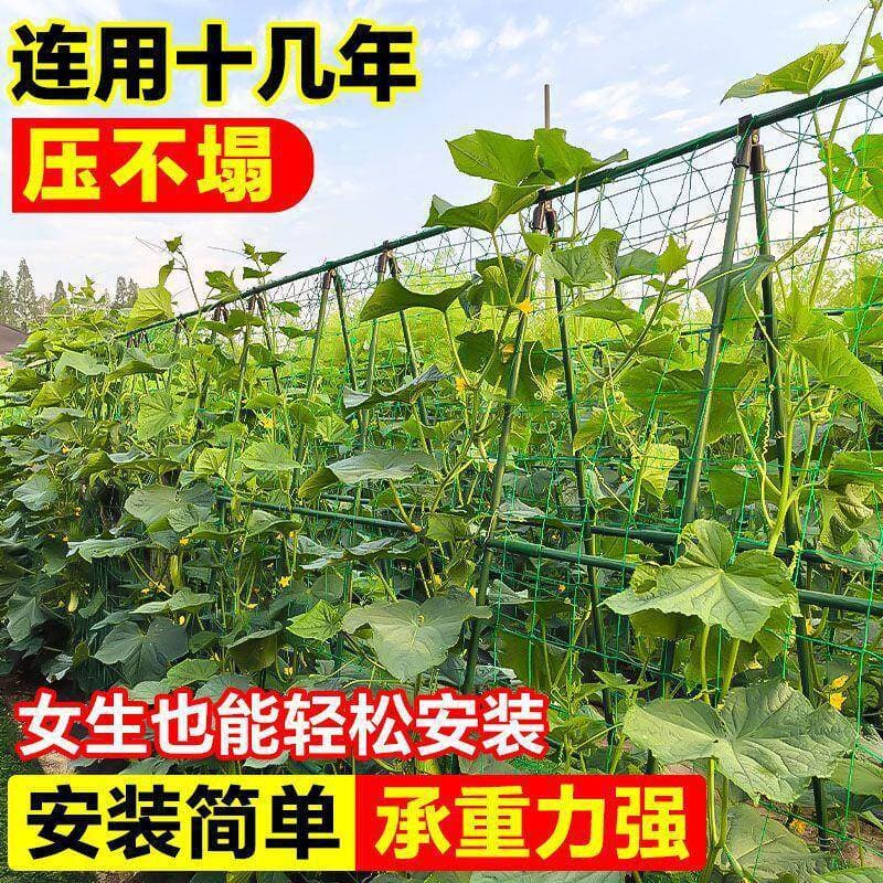 A special shelf for growing vegetables on behalf of others, a cucumber climbing rack, a bean rack, a rooftop vegetable rack for growing vegetables in the vegetable garden