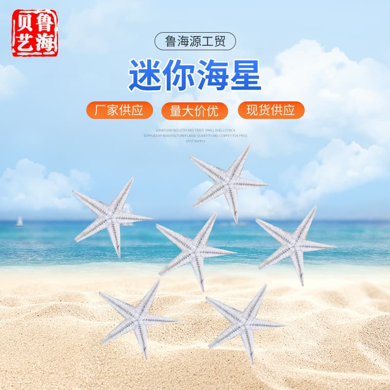 Mini Starfish Micro Landscape Decoration Pendant Shell Natural Conch Mini Starfish Small Yellow Starfish