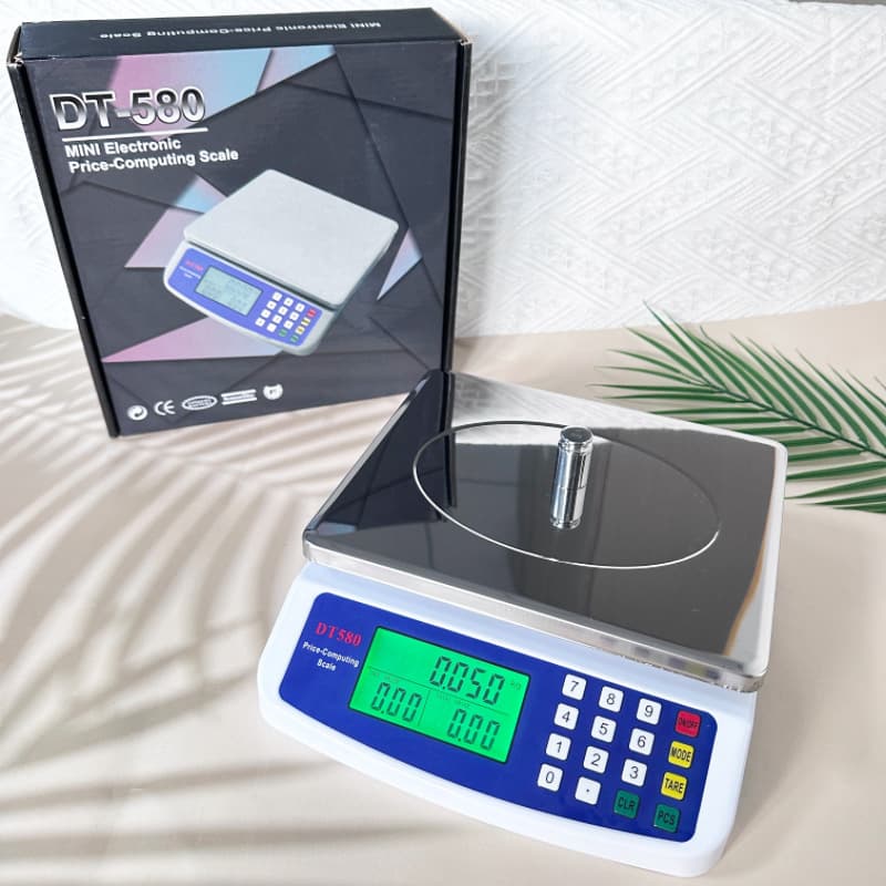 DT580 Kitchen Scale with Stainless Steel Pan High Precision Electronic Scale Mini Pricing Scale Household Baking Table Scale Food Scale