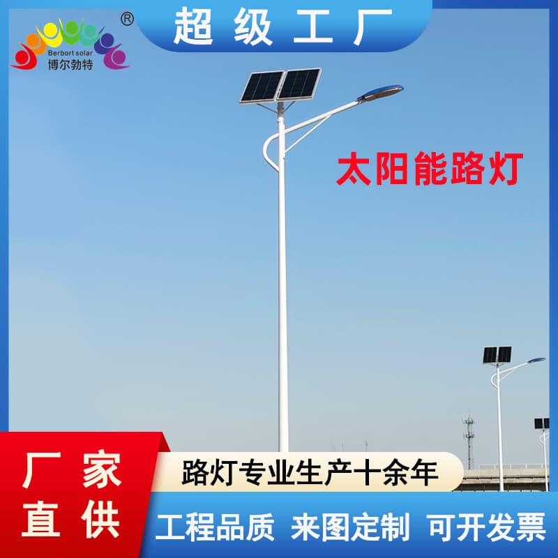 Wind-Solar Hybrid Street Light 6m Rural Revitalization Integrated Solar Street Light Factory Wholesale Customization