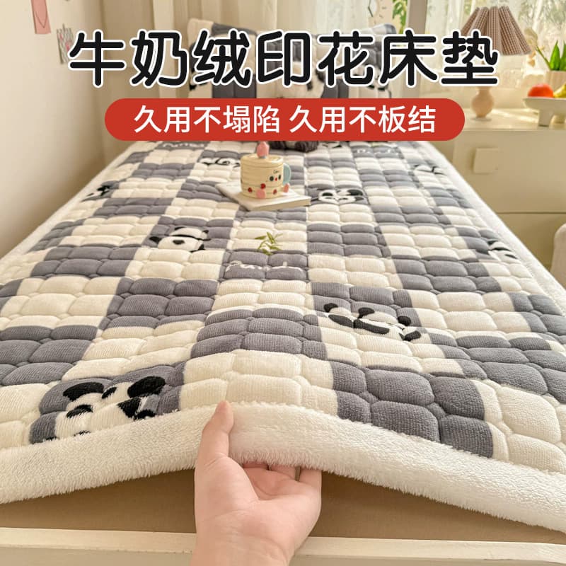 Winter Coral Fleece High GSM Milk Fleece Wide Border Design Student Dorm Mattress Set Single Quilt