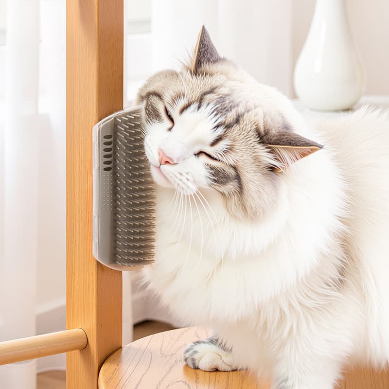 Pet cat scratcher, mint ball comb, corner toy for cat entertainment, hair removal and itch relief.