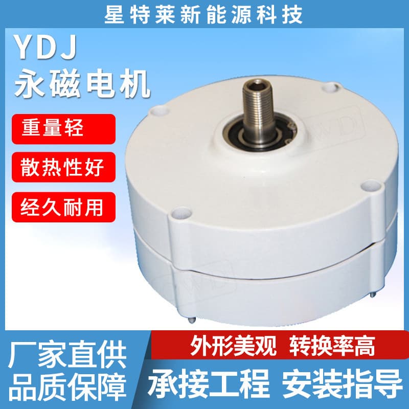 Permanent Magnet Generator Three-Phase AC Synchronous Motor Low Noise Rare Earth Permanent Magnet Generator Smooth Operation Manufacturer