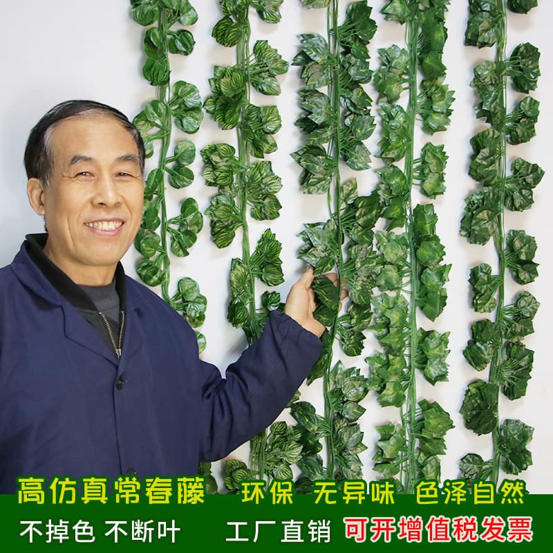 Happy tree potted indoor living room cluster plants large single pole bonsai green plants office plants easy to maintain wholesale