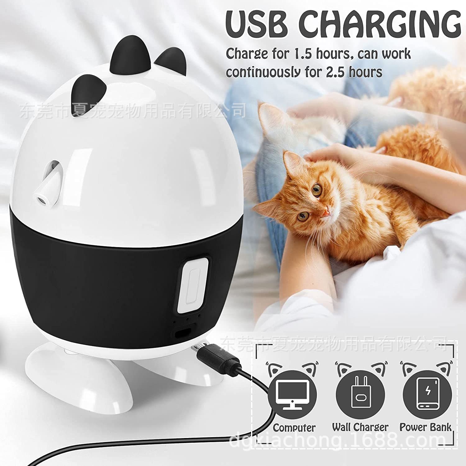 Amazon 2 in 1 Interactive Cat Toy with Laser Feather Ribbon