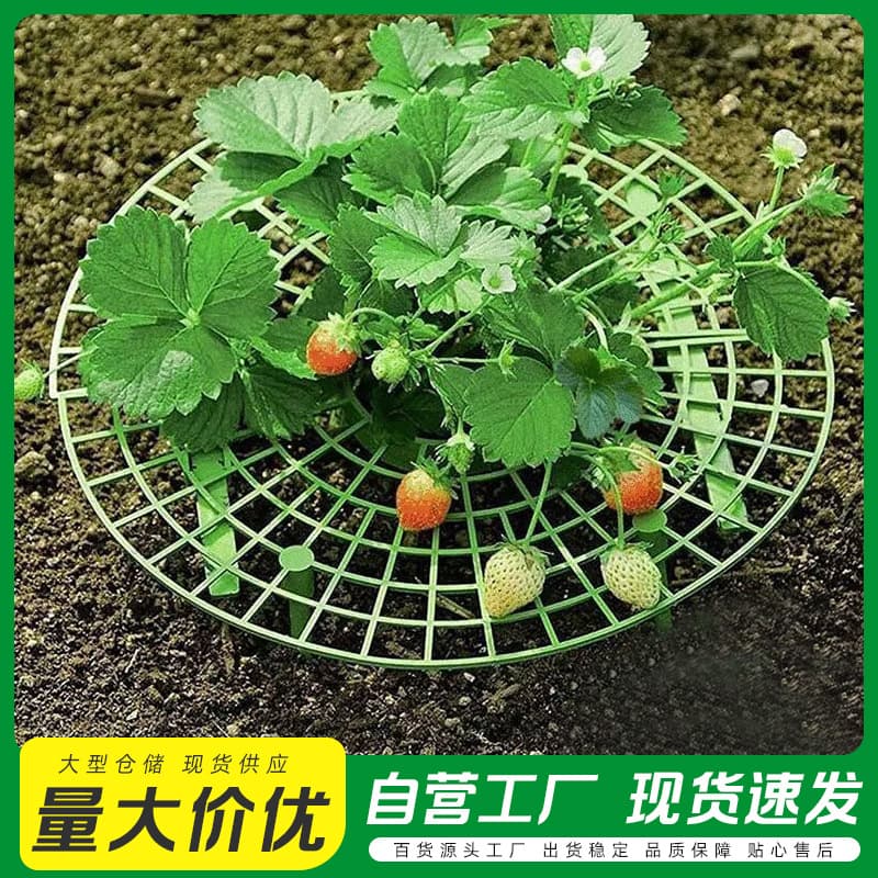Factory direct selling strawberry rack balcony potted vegetable rack antiseptic strawberry garden special household support rack gardening supplies