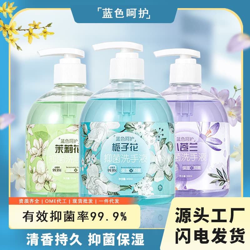 Blue Care Floral Antibacterial Hand Wash - 500ml Home Use, Perfume-Grade Fragrance, Gentle Cleaning and Moisturizing, In Stock