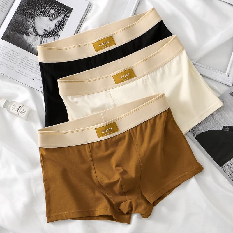 2025 New Men's Underwear Men's Pure Cotton Boxer Briefs Trendy Boys Boxer Briefs One Piece Dropshipping Spot Cross-Border