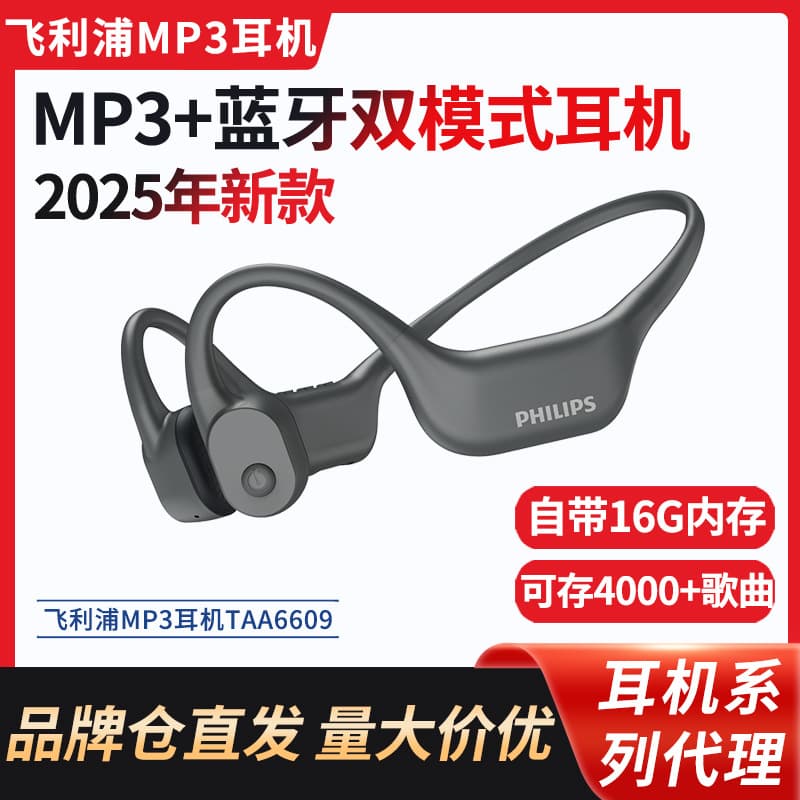 Philips MP3 Headphones with Built-in 16GB Memory for Music Storage Running TAA6609 Bone Conduction Bluetooth Headphones