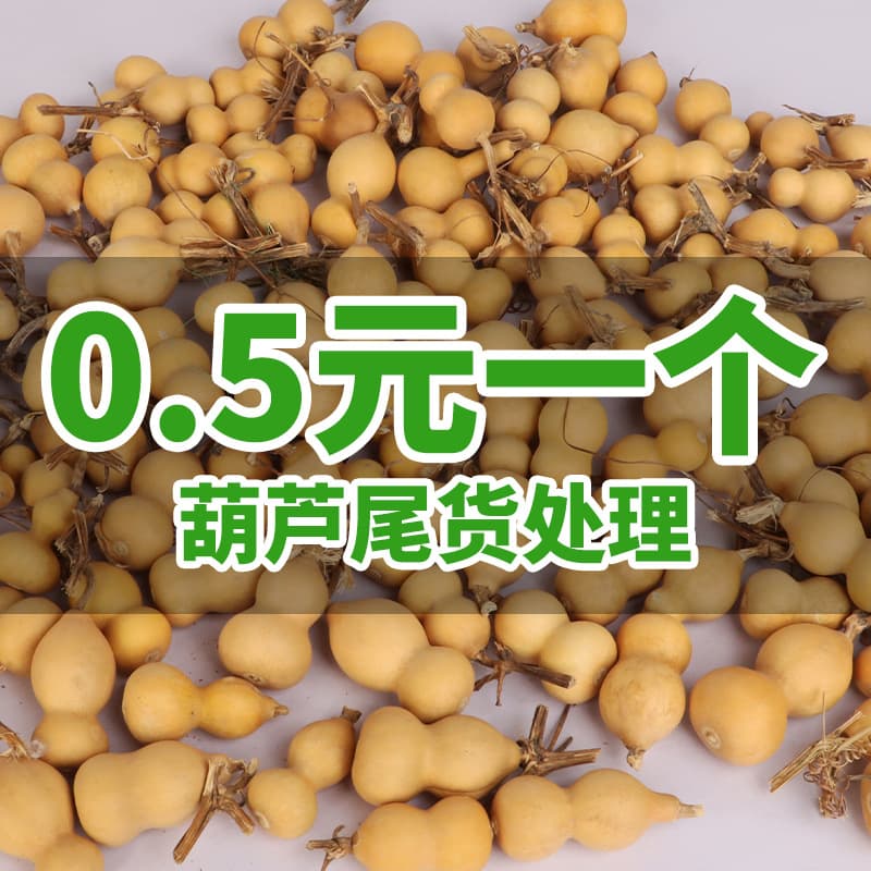 Wholesale clearance of small gourds of various shapes, gourd surplus stock, and hand-held plain gourds.