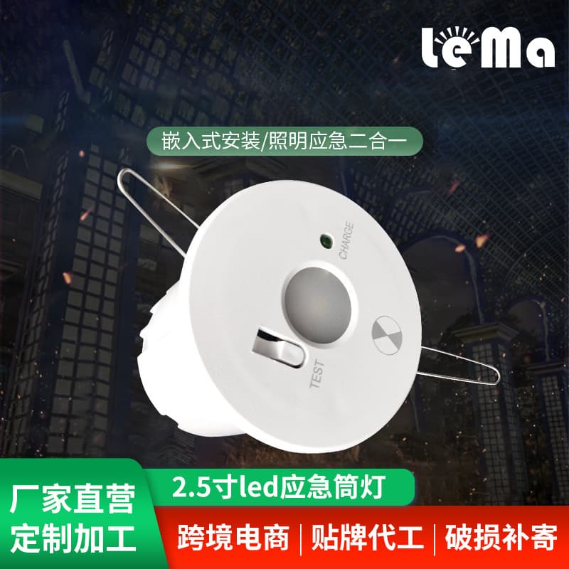 Custom 2.5-inch LED Emergency Downlight with CE and ROHS Certification, Embedded Corridor, Foyer, and Balcony Emergency Light