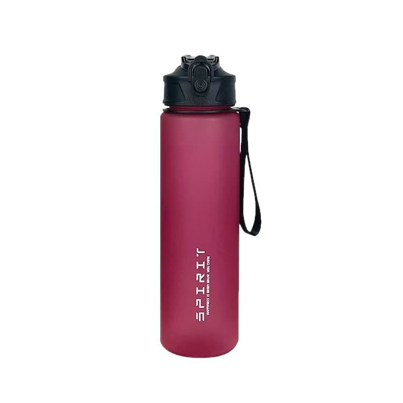 Cross-border Gradient Frosted Sports Water Bottle with Handle Strap, Portable Fitness Bottle 750ML with Straw, Space Cup