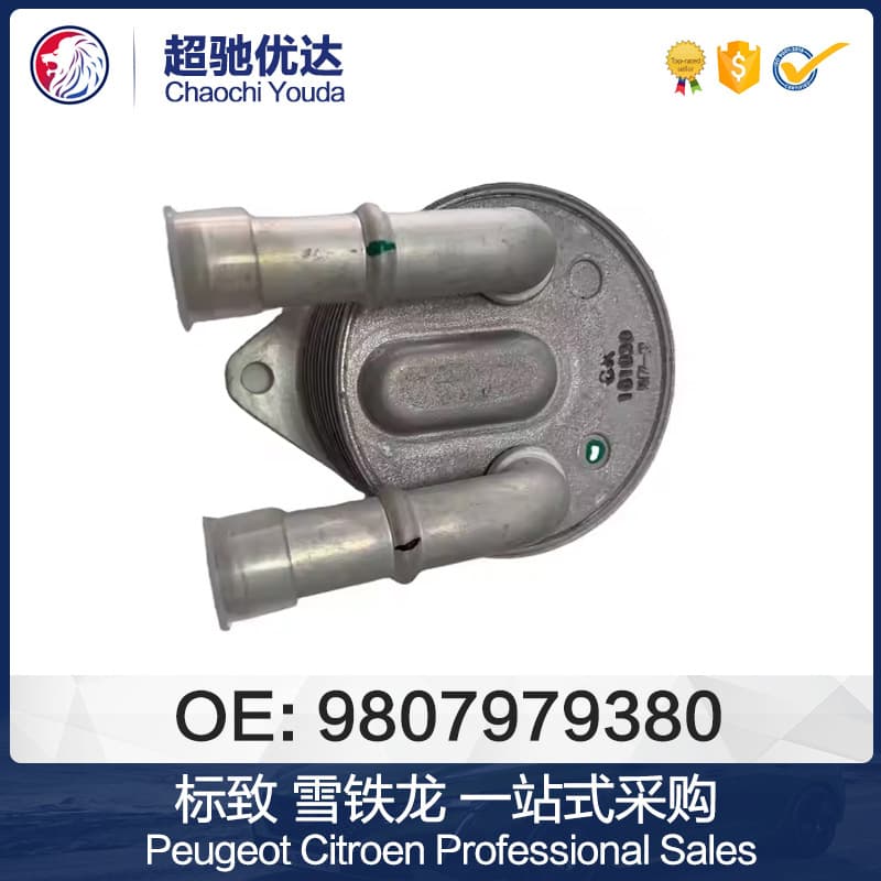 9807979380 3648065 Compatible with Peugeot Citroen Automatic Transmission Oil Cooler