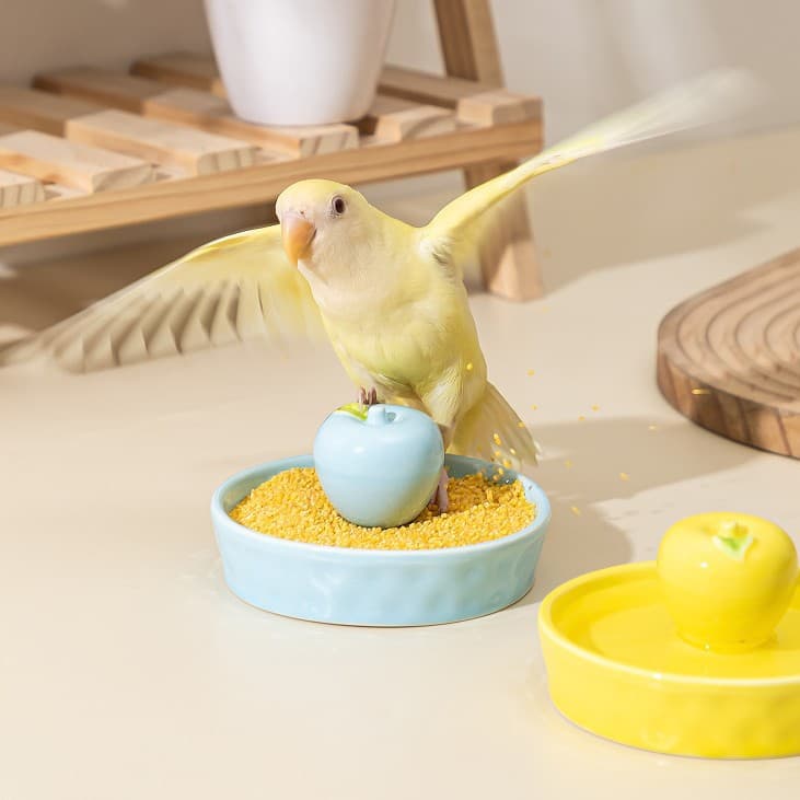 Parrot Food Bowl, Bird Food Bowl, Bird Food Dish, Cockatiel and Budgerigar Bird Feeder, Parrot Food Dish, Anti-Splash Ceramic Bird Bowl