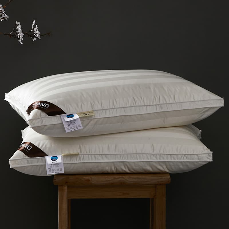 Silk Down Pillow 95% White Goose Down Core Bread Pillow Genuine Memory Neck Care Single/Double Pillow Factory Wholesale