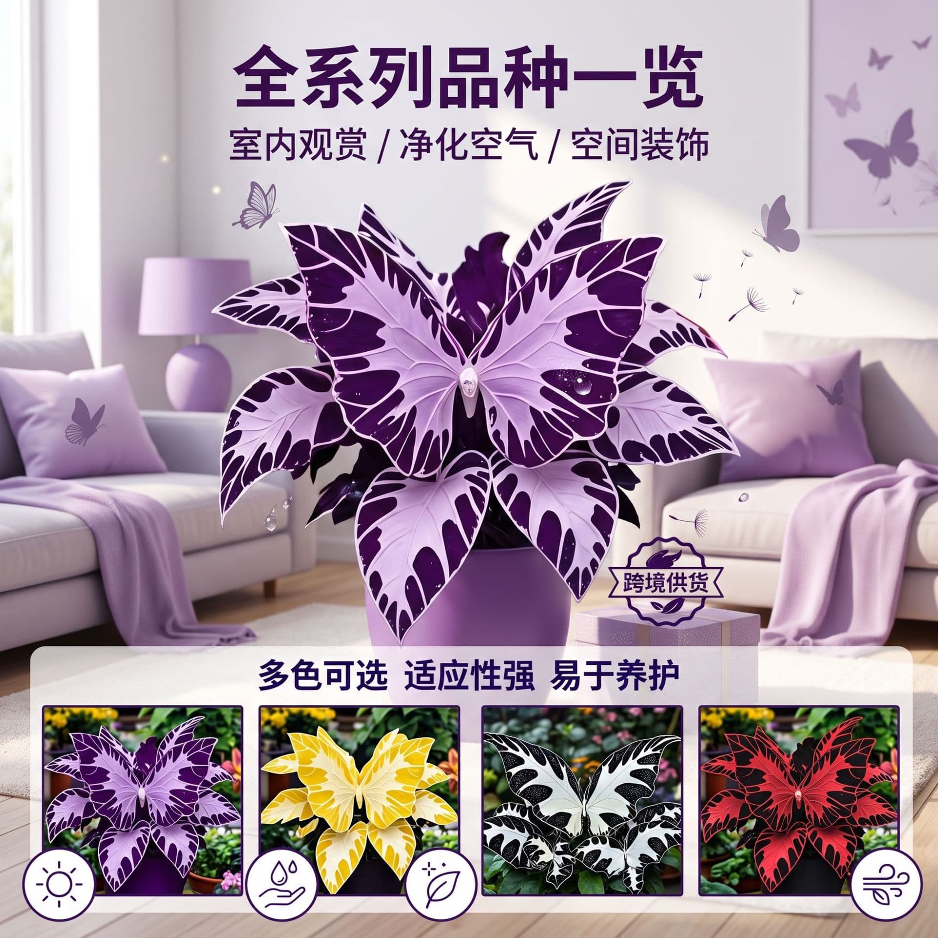 [Cross-Border Supply] Butterfly Geranium Seeds for Garden Balcony Potted Flowers, Drought-Tolerant Ornamental Foliage Large Green Plant