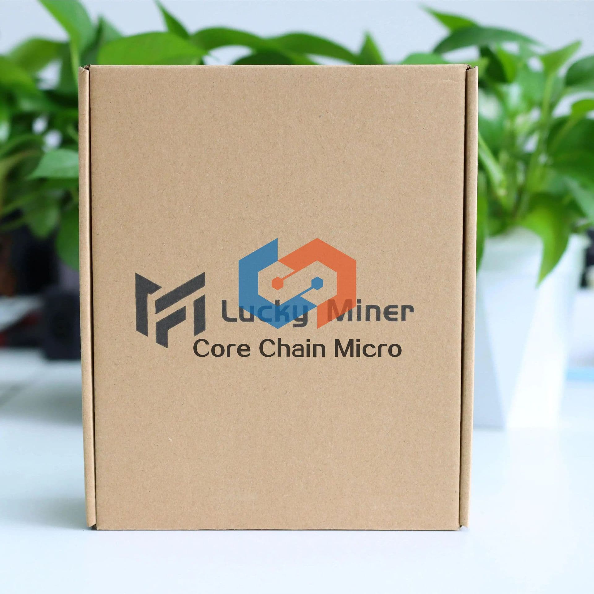 The upgraded Bitaxe model is based on the BM166 Lucky Miner V6 lottery machine with 500G computing power BTC lottery machine