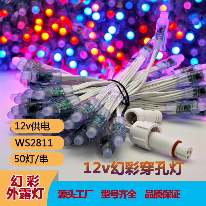 WS2811 Outdoor LED String Lights Dream Color 12V Glue-Filled 12mm Perforated Light Source for Luminous Letters Advertising Decoration Perforated Lights