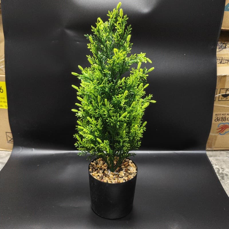 Cross-Border Labeled Artificial Mini Pine Tree Artificial Green Plant Potted Plant Artificial Pine Greenery Decoration Ornament