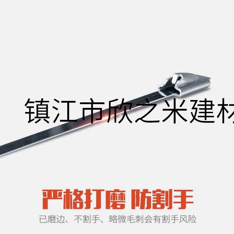 9YW Dunmaisi 304 Stainless Steel Cable Ties 4.6*300 Self-Locking Zip Ties Metal Cable Ties Stainless Steel Buckle Straps
